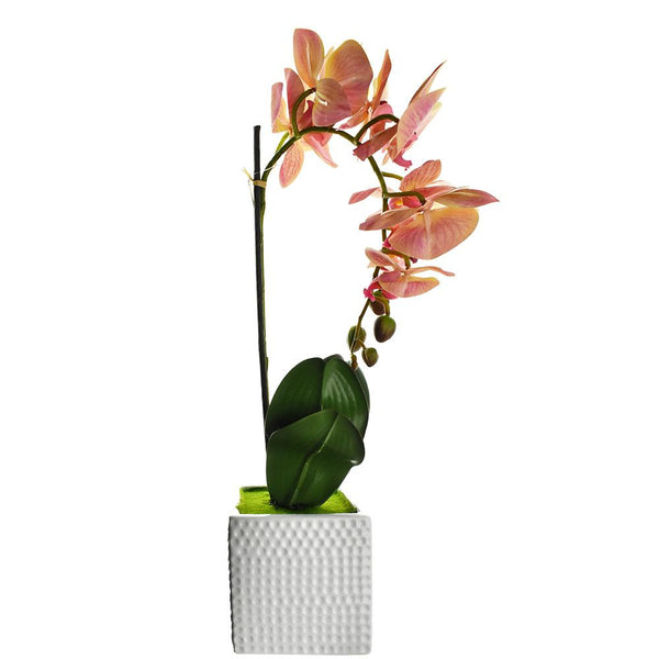 Artificial Moth Orchid with Square Pot, Pink, 20-Inch