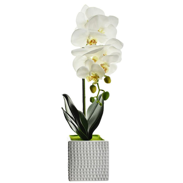 Artificial Moth Orchid with Square Pot, White, 20-Inch