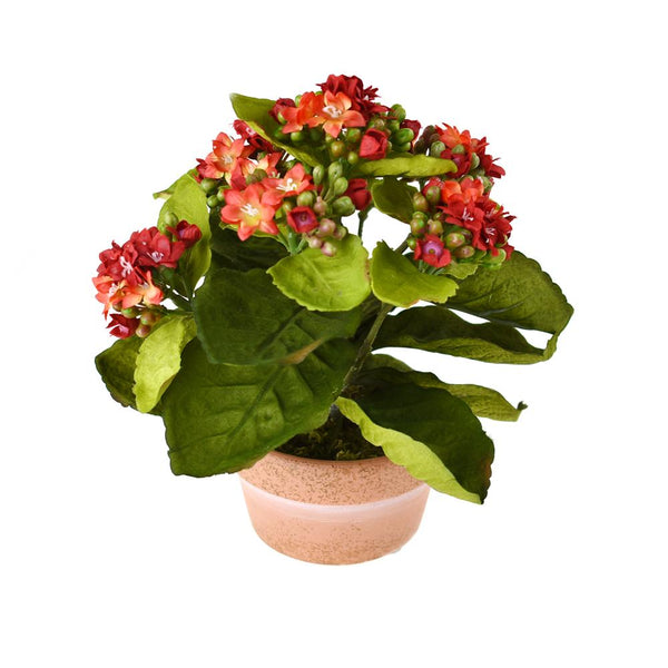 Artificial Silk Kalanchoe Flower Pot, Red, 8-Inch