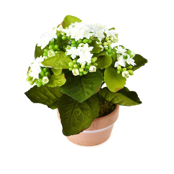 Artificial Silk Kalanchoe Flower Pot, White, 8-Inch