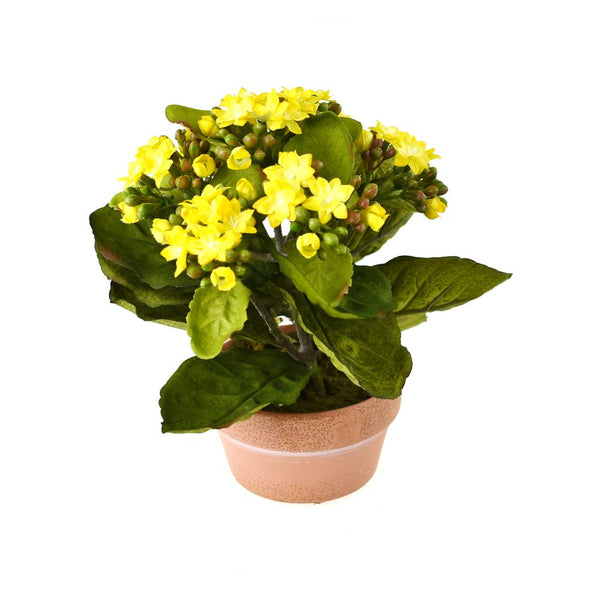 Artificial Silk Kalanchoe Flower Pot, Yellow, 8-Inch