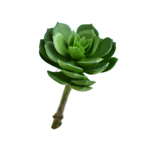 Artificial Echeveria Green Prince Succulent Stem, Green, 5-Inch