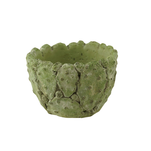 Realistic Cactus Planter, 3-1/4-Inch - Green