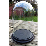 Clear Glass Large Dome Display with Ceramic Base