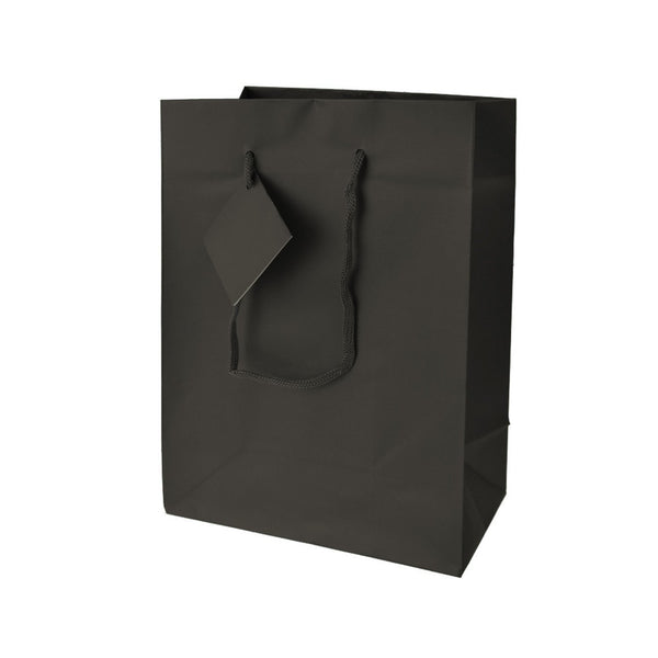 Solid Colored Matte Gift Bags with Tag, 9-1/2-Inch, Black