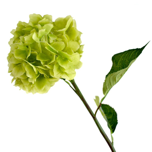 Tall Silk Hydrangea Stem Flower, Green, 34-Inch