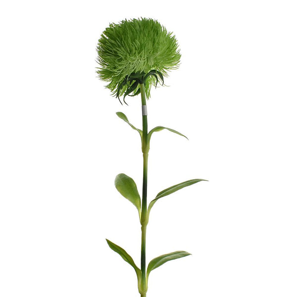 Artificial Dianthus Spray, Green, 19-1/2-Inch