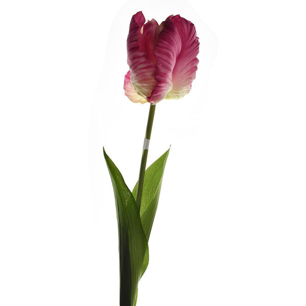 Artificial Parrot Tulip Stem, Fuchsia, 26-Inch