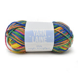 Multi-Dyed Acrylic Yarn Bundle, 115-Yard