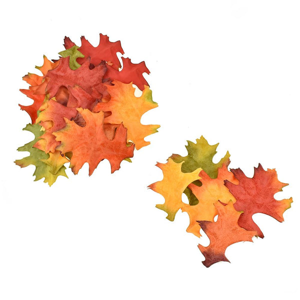 Loose Multicolored Oak Leaves, Assorted Sizes, 24-Piece