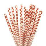 Race Car Checkered Paper Straws, 7-3/4-Inch, 25-Piece