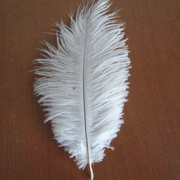 Ostrich Feather Decorative Centerpiece, 15-Inch, 1-Piece, White