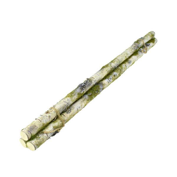 Moss Covered Sticks Bundle, Green/White, 22-1/2-Inch, 3-Count