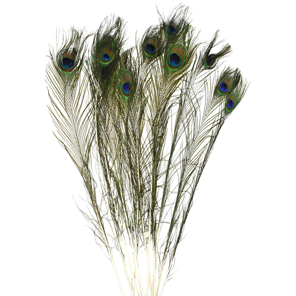 Faux Peacock Feather Decoration, 30-Inch, 12-Count