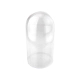 Plastic Dome Display Case w/ Clear Base, 6-inch, Medium